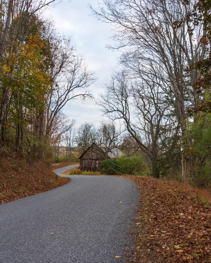 Winding rural road lined with trees in Pennsylvania, like the country roads around Richlandtown